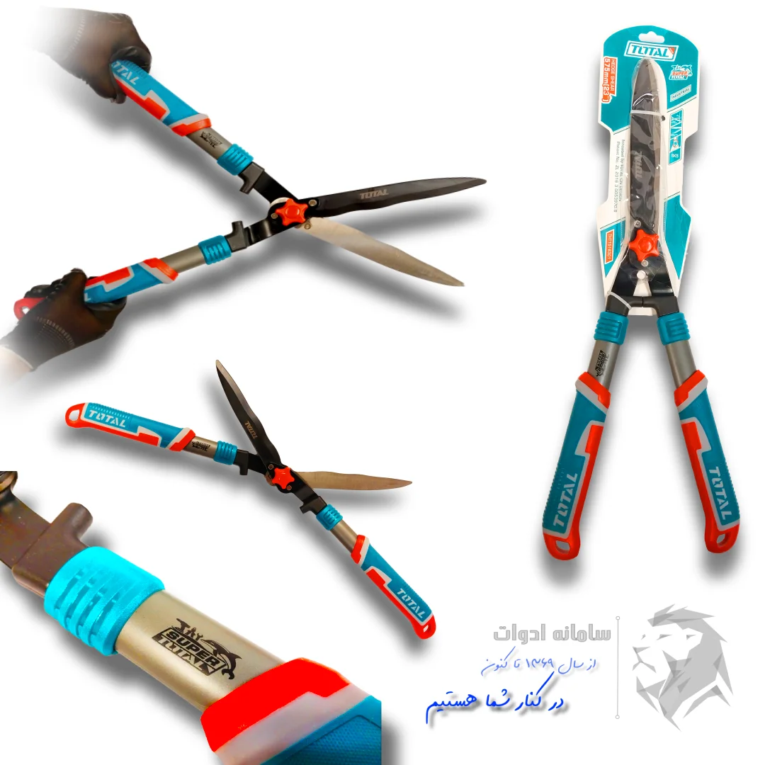 شمشاد زن توتال تصویر معرفی کلی